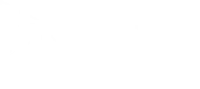 Polyvista - Medienproduktion & Immersive Experiences