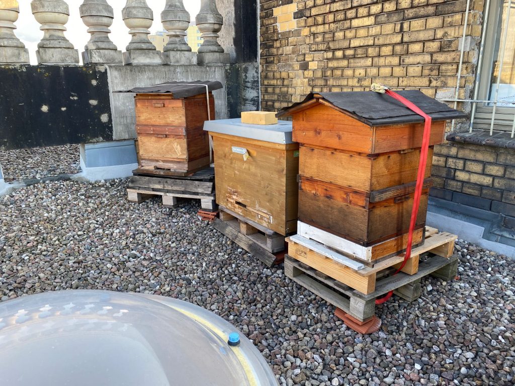 IMG_8162-Abgeordnetenhaus-Virtuele-Tour